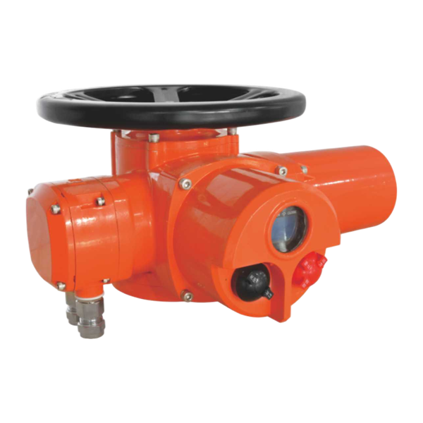 product - Привод электрический, многооборотный, взрывозащищенный, AC 220V, 100 Н.м.