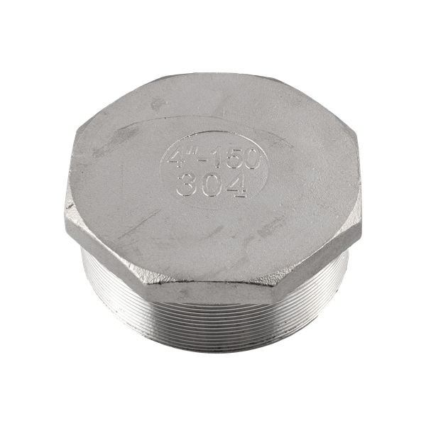 product - Заглушка Н/Р 6-ти гранная нержавеющая, AISI304 DN 100 (4"), (CF8), PN16